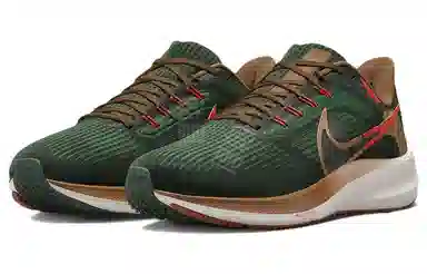 Nike Air Zoom Pegasus 39 "A.I.R. Hola Lou"