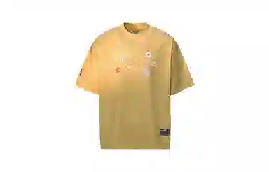 MANYSTON T