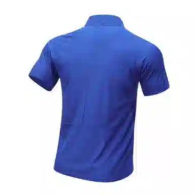 Tingqu T