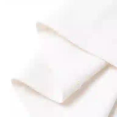 Polo Ralph LaurenSS25LogoT