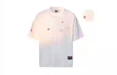 MANYSTON T