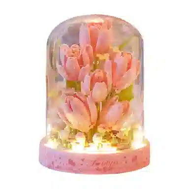 Brangdy 301-600pcs BRA-JM-74