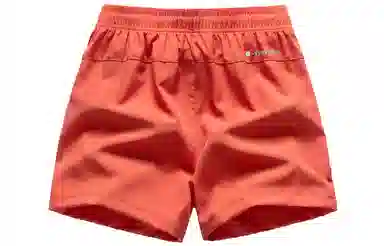 REXSHION