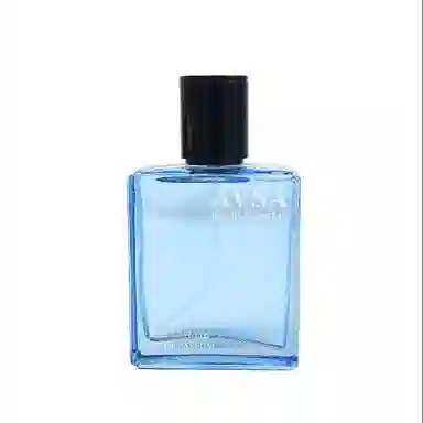 AVSA EDP