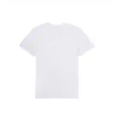 DESCENTE TOUGH FlogoT