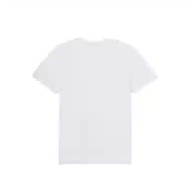 DESCENTE TOUGH FlogoT