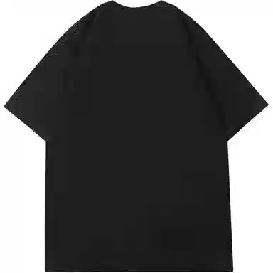 VNHP T