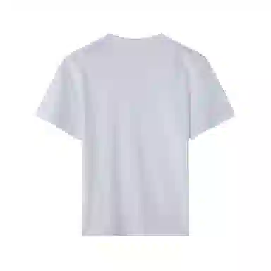 mula T