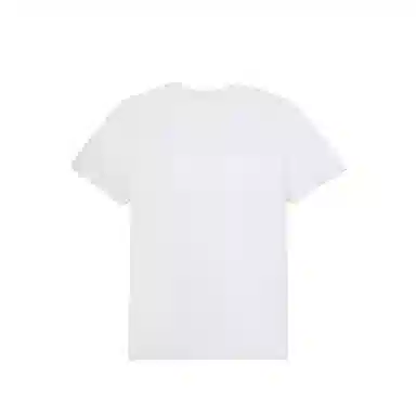 DESCENTE TOUGH logoT