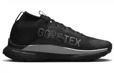 Nike Pegasus Trail 4 Gore-Tex