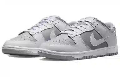 Nike Dunk Low Retro