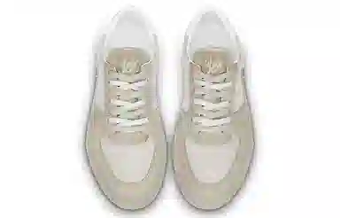 Louis Vuitton Ollie Damier