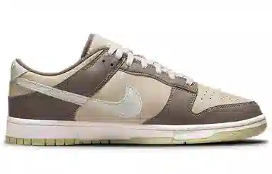 Nike Dunk Low "Velcro Tongue" Brown