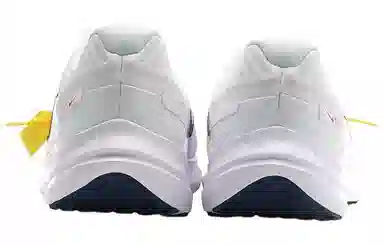 Nike Quest 5