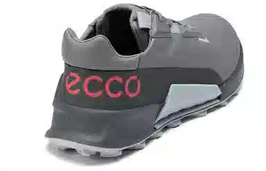 ecco 2.1