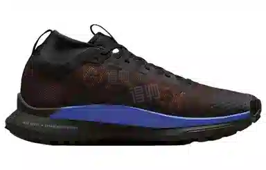 Nike Pegasus Trail 4 GORE-TEX