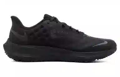 Nike Air Zoom Pegasus 39 Black