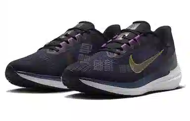 Nike Zoom Winflo 9 Black Blue Gold