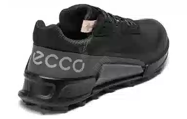 ecco 2.1
