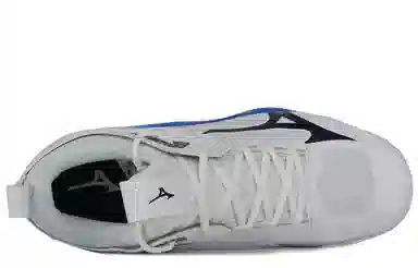 Mizuno Wave Momentum 2