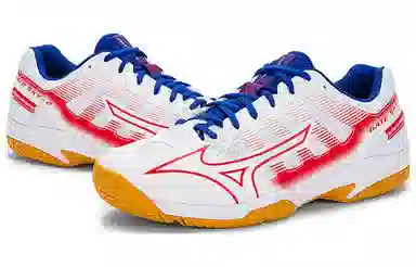 Mizuno Gate Sky Plus2