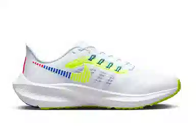 Nike Air Zoom Pegasus 39 GS White