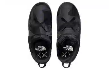 KAWS x THE NORTH FACE