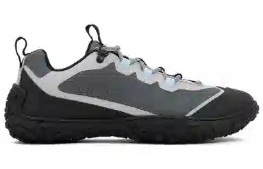 DIOR Diorizon Green Grey