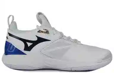 Mizuno Wave Momentum 2