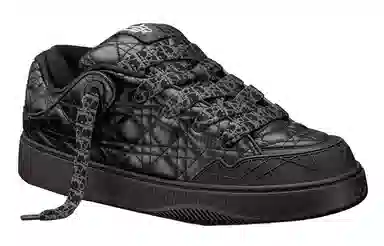 ERL x DIOR B9S