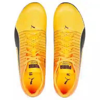 PUMA evoSPEED Tokyo Future Faster