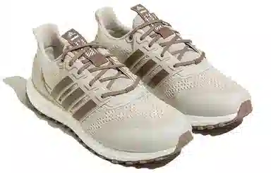 adidas Ultraboost DNA Guard