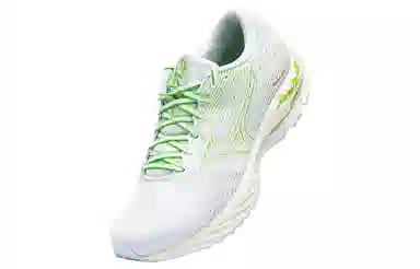 Mizuno Wave Rider 26