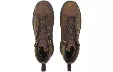 CAT Modulate WP Brown