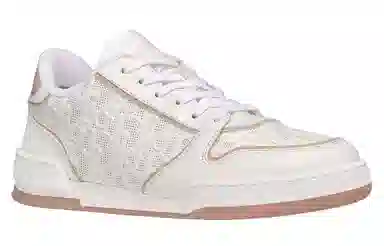DIOR One Oblique
