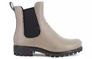 ecco Modtray