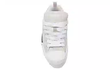 DIOR B23 Oblique