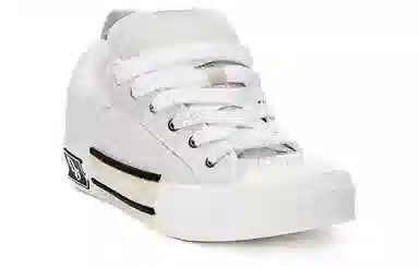 DIOR B23 Oblique