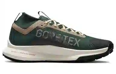 Nike Pegasus Trail 4 Gore-Tex