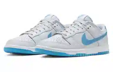 Nike Dunk Low Retro