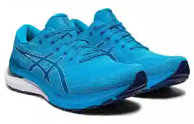 Asics GEL-KAYANO 29 Blue White