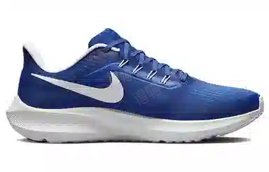 Nike Air Zoom Pegasus 39