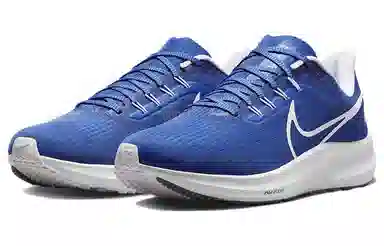 Nike Air Zoom Pegasus 39