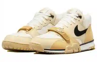 Nike Air Trainer 1 "Wheat Gold"