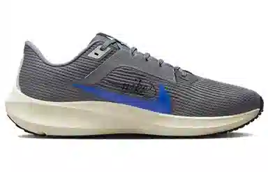 Nike Air Zoom Pegasus 40 PRM Grey