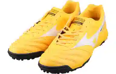 Mizuno Morelia 2 Pro AS