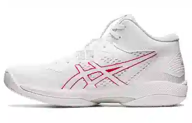 Asics Gel-Hoop V15