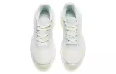 Anta