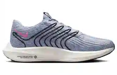 Nike Pegasus Turbo Next Nature