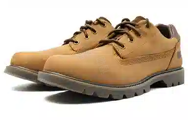 CAT COLORADOLOW2.0